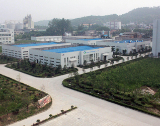 Çin Godson Technology Co., Ltd